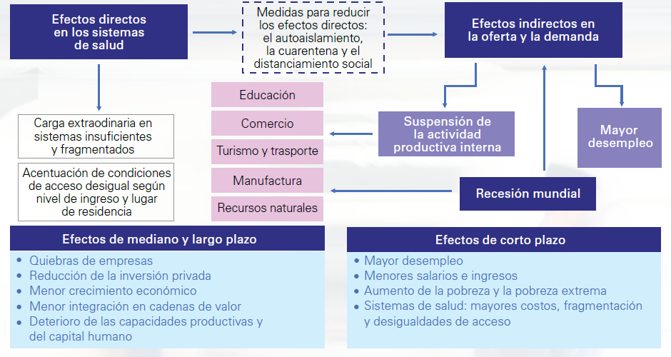 efectos económicos cepal