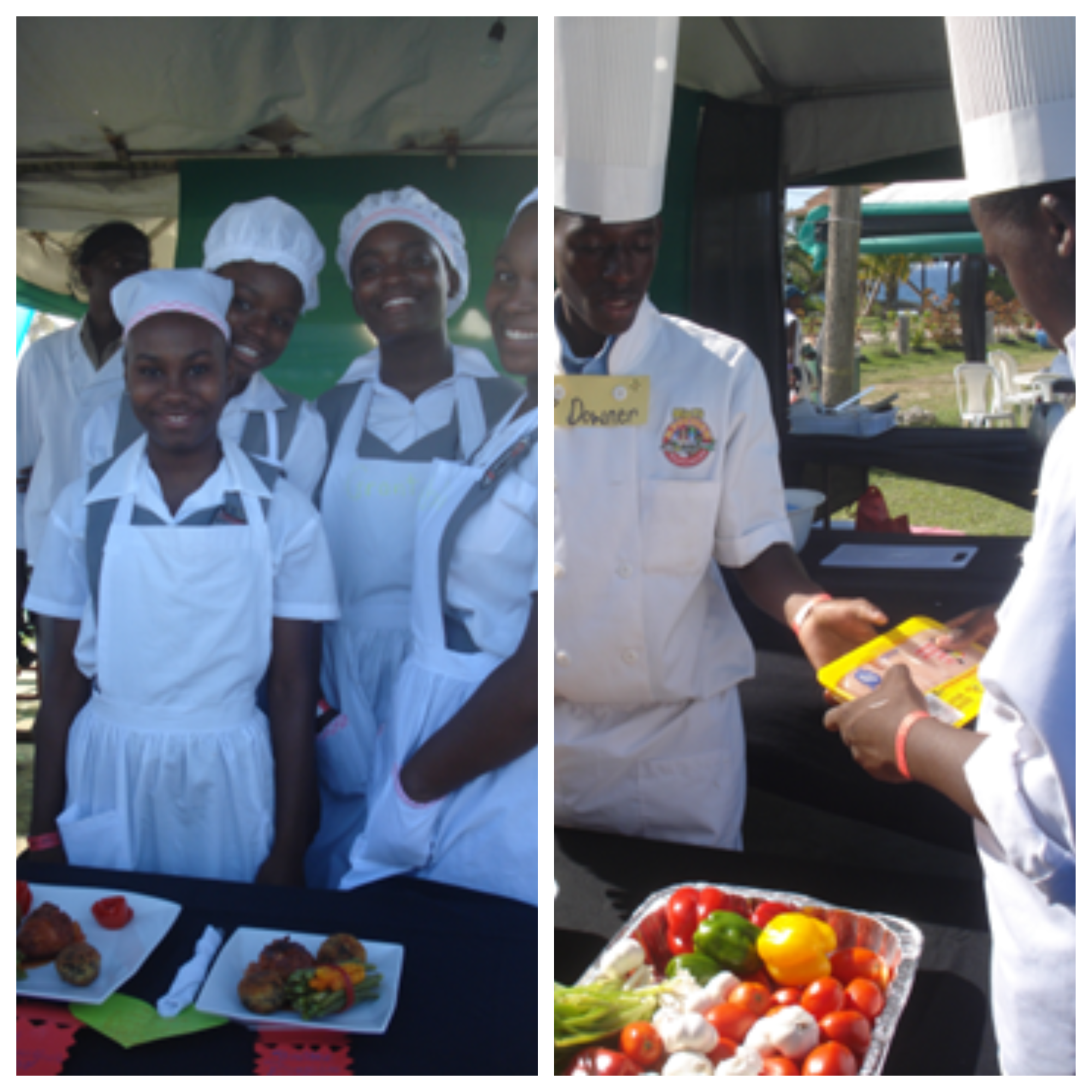 Caribbean agritourism