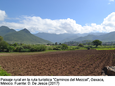 Caminos del mezcal