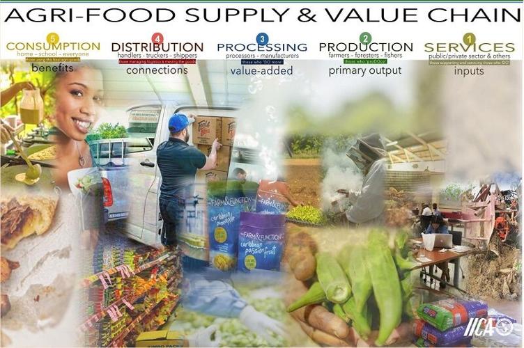 Agr value chain