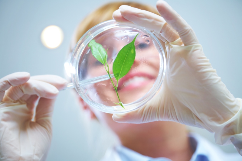 Biotecnologia