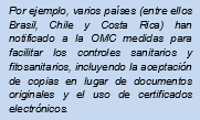 Ejemplos de medidas