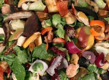 BIOWASTE
